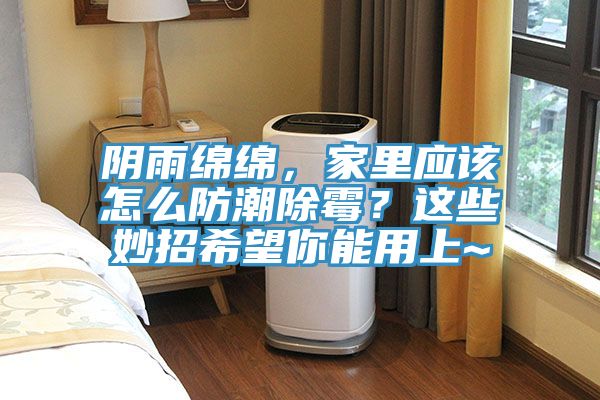 陰雨綿綿，家里應該怎么防潮除霉？這些妙招希望你能用上~