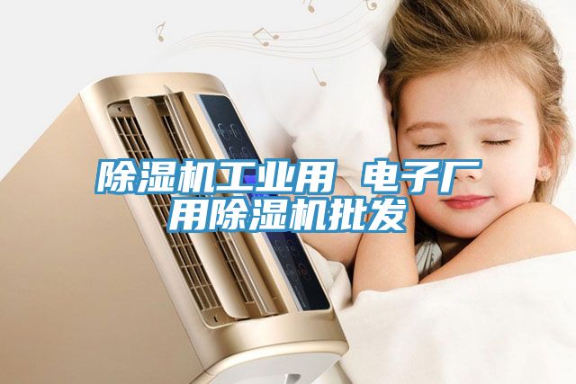 除濕機工業(yè)用 電子廠(chǎng)用除濕機批發(fā)