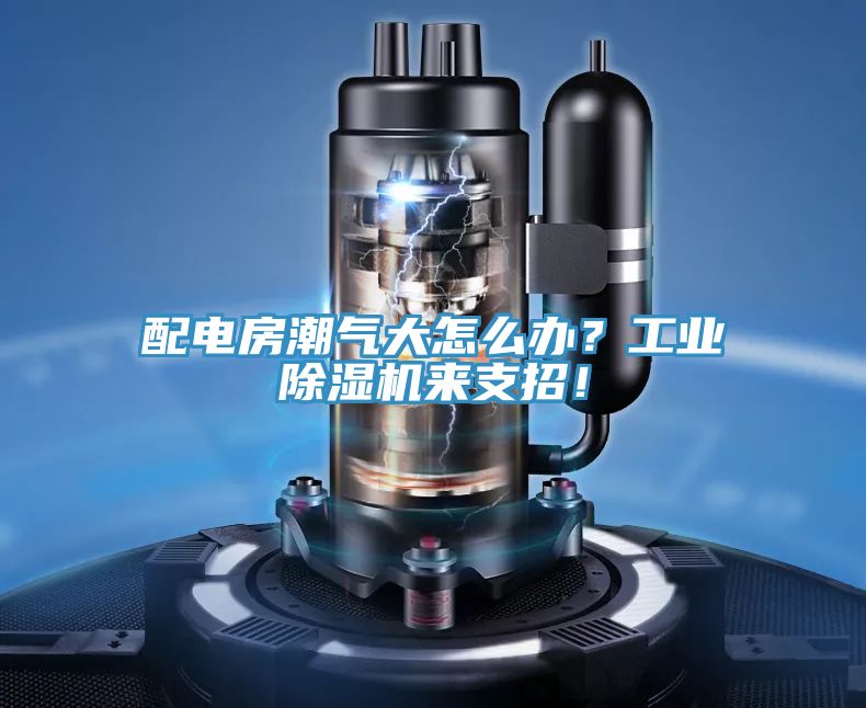 配電房潮氣大怎么辦？工業(yè)除濕機來(lái)支招！
