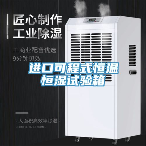 進(jìn)口可程式恒溫恒濕試驗箱