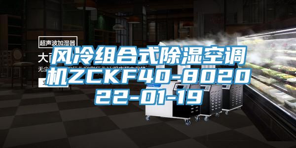 風(fēng)冷組合式除濕空調機ZCKF40-802022-01-19