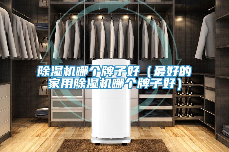 除濕機哪個(gè)牌子好（最好的家用除濕機哪個(gè)牌子好）