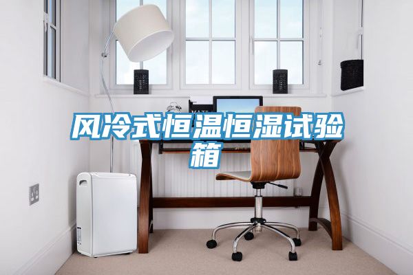 風(fēng)冷式恒溫恒濕試驗箱