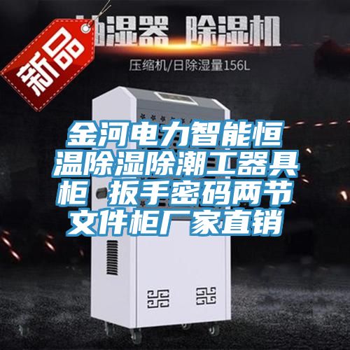 金河電力智能恒溫除濕除潮工器具柜 扳手密碼兩節文件柜廠(chǎng)家直銷(xiāo)