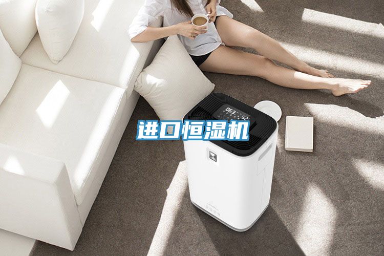進(jìn)口恒濕機