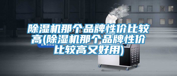 除濕機那個(gè)品牌性?xún)r(jià)比較高(除濕機那個(gè)品牌性?xún)r(jià)比較高又好用)