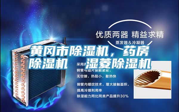 黃岡市除濕機，藥房除濕機  濕菱除濕機