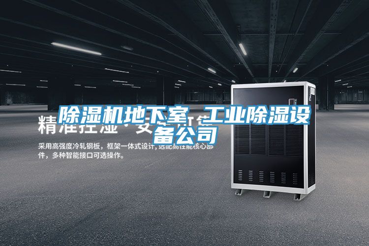 除濕機地下室 工業(yè)除濕設備公司