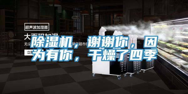 除濕機，謝謝你，因為有你，干燥了四季