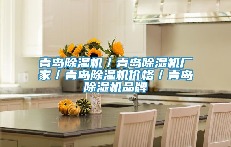 青島除濕機／青島除濕機廠(chǎng)家／青島除濕機價(jià)格／青島除濕機品牌