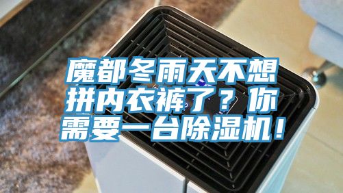 魔都冬雨天不想拼內衣褲了？你需要一臺除濕機！