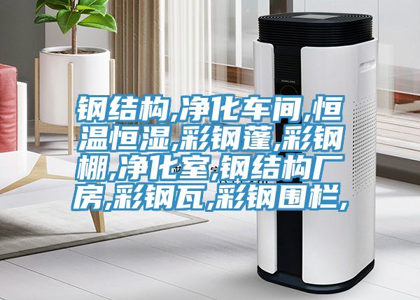 鋼結構,凈化車(chē)間,恒溫恒濕,彩鋼蓬,彩鋼棚,凈化室,鋼結構廠(chǎng)房,彩鋼瓦,彩鋼圍欄,