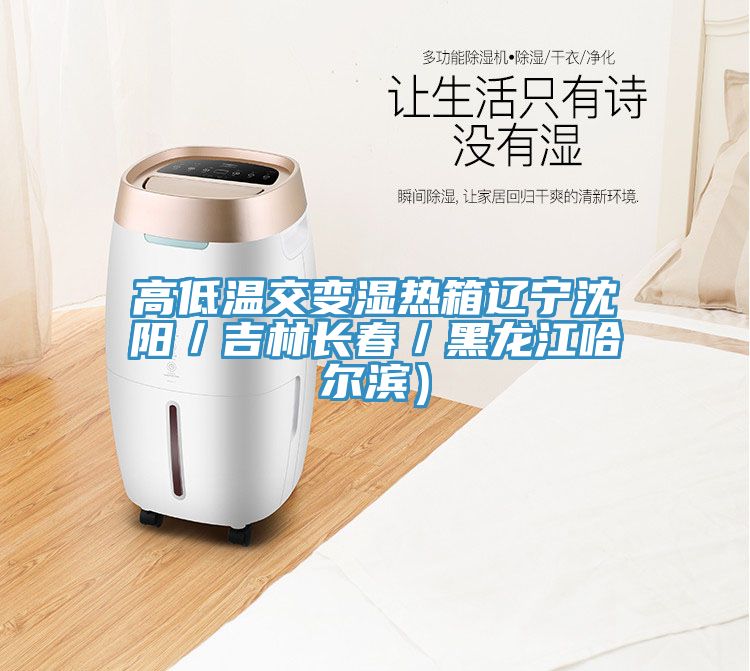 高低溫交變濕熱箱遼寧沈陽(yáng)／吉林長(cháng)春／黑龍江哈爾濱）