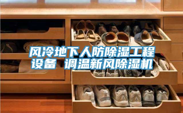 風(fēng)冷地下人防除濕工程設備 調溫新風(fēng)除濕機