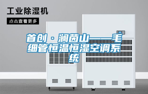 首創(chuàng  )·瀾茵山——毛細管恒溫恒濕空調系統