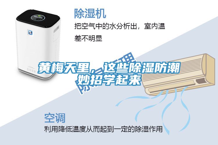 黃梅天里，這些除濕防潮妙招學(xué)起來(lái)