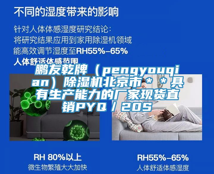 鵬友乾牌（pengyouqian）除濕機北京市＊＊具有生產(chǎn)能力的廠(chǎng)家現貨直銷(xiāo)PYQ／20S