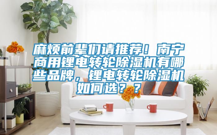 麻煩前輩們請推薦！南寧商用鋰電轉輪除濕機有哪些品牌，鋰電轉輪除濕機如何選？？