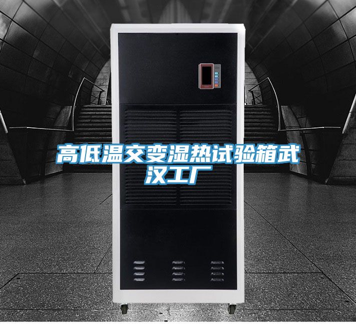 高低溫交變濕熱試驗箱武漢工廠(chǎng)