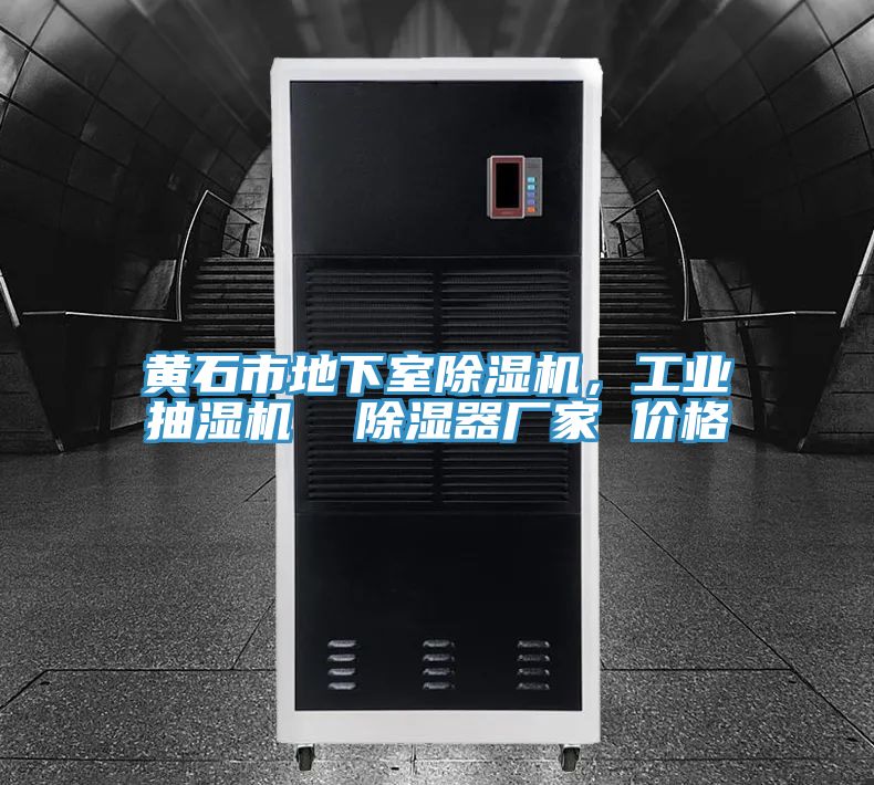 黃石市地下室除濕機，工業(yè)抽濕機  除濕器廠(chǎng)家 價(jià)格
