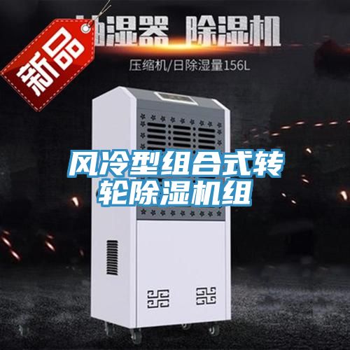 風(fēng)冷型組合式轉輪除濕機組