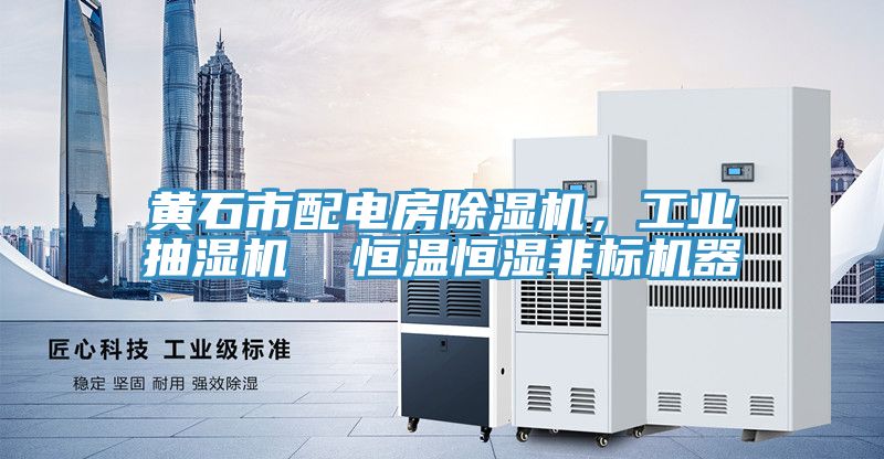黃石市配電房除濕機，工業(yè)抽濕機  恒溫恒濕非標機器