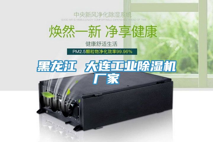 黑龍江 大連工業(yè)除濕機廠(chǎng)家