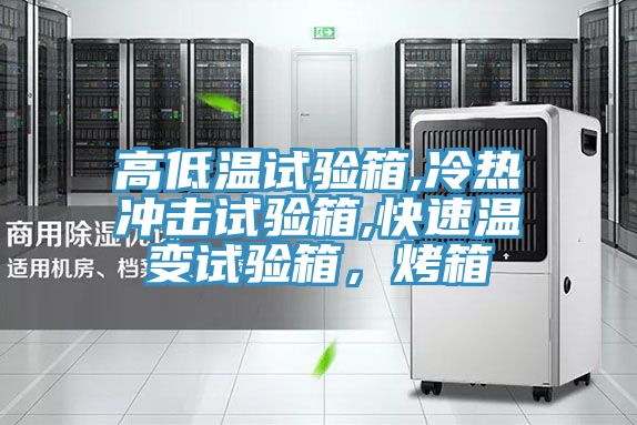 高低溫試驗箱,冷熱沖擊試驗箱,快速溫變試驗箱，烤箱