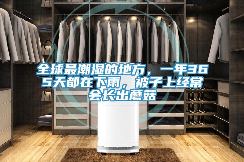 全球最潮濕的地方，一年365天都在下雨，被子上經(jīng)常會(huì )長(cháng)出蘑菇