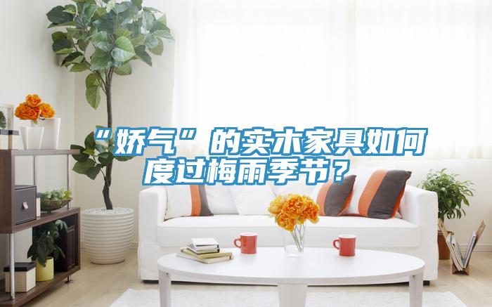 “嬌氣”的實(shí)木家具如何度過(guò)梅雨季節？