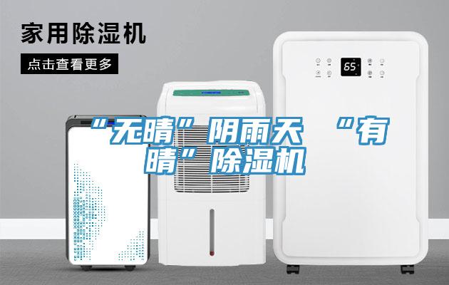 “無(wú)晴”陰雨天 “有晴”除濕機