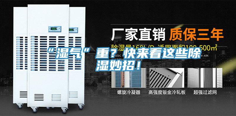 “濕氣”重？快來(lái)看這些除濕妙招！