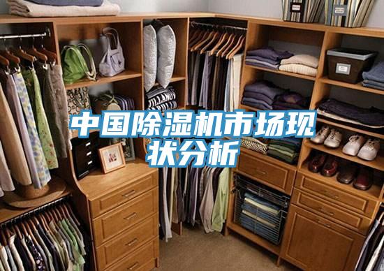 中國除濕機市場(chǎng)現狀分析