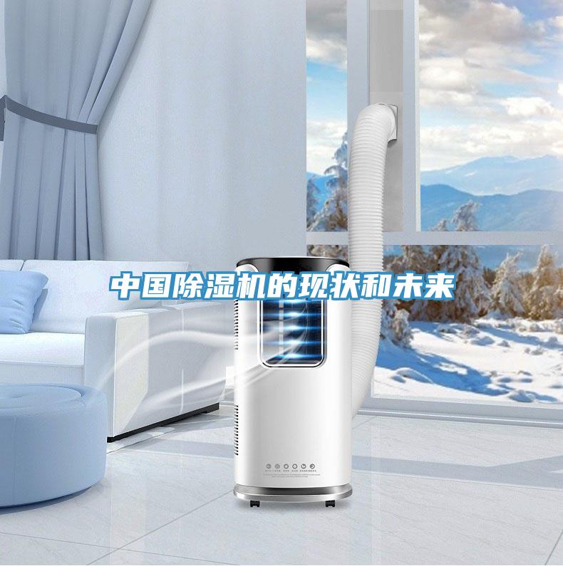 中國除濕機的現狀和未來(lái)