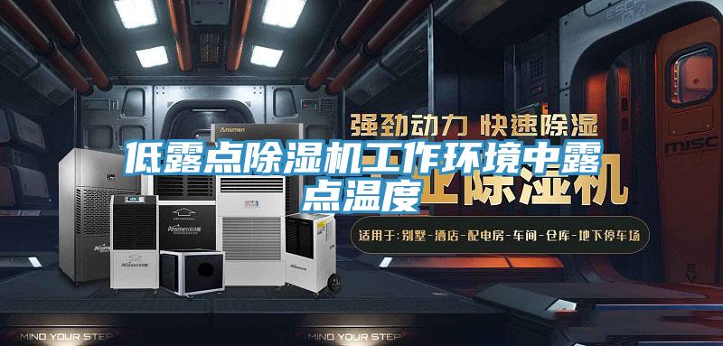 低露點(diǎn)除濕機工作環(huán)境中露點(diǎn)溫度