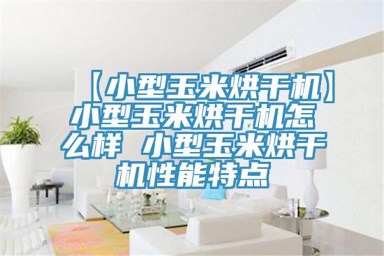 【小型玉米烘干機】小型玉米烘干機怎么樣 小型玉米烘干機性能特點(diǎn)