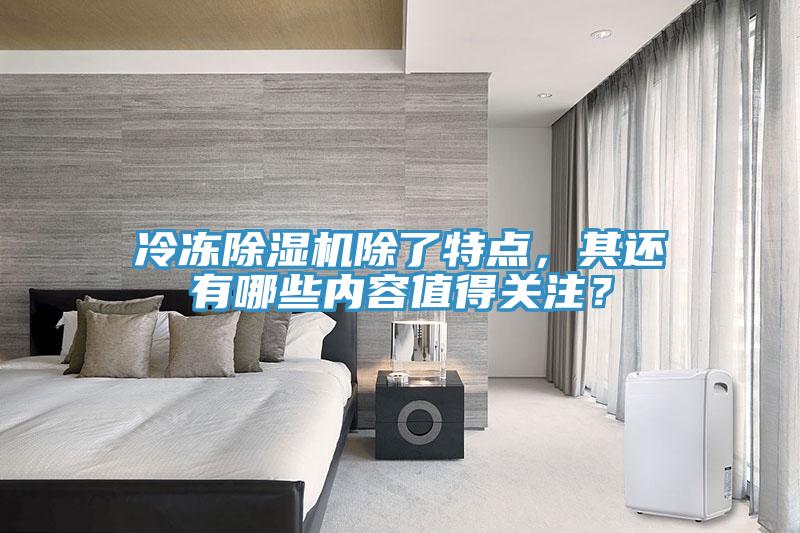 冷凍除濕機除了特點(diǎn)，其還有哪些內容值得關(guān)注？