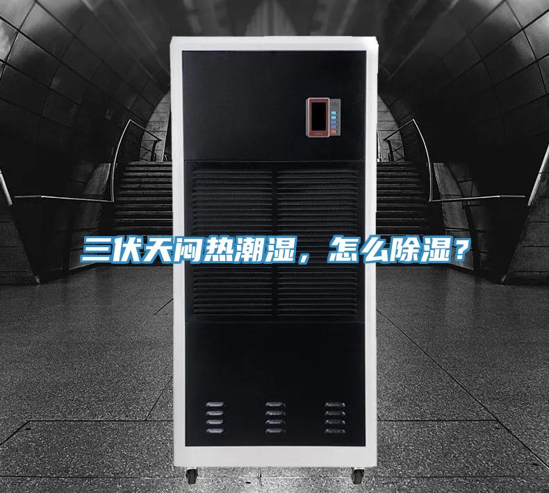 三伏天悶熱潮濕，怎么除濕？