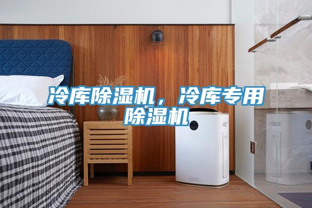 冷庫除濕機，冷庫專(zhuān)用除濕機