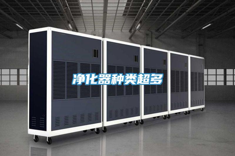 凈化器種類(lèi)超多