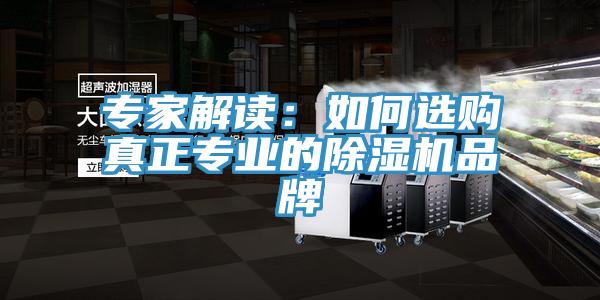 專(zhuān)家解讀：如何選購真正專(zhuān)業(yè)的除濕機品牌