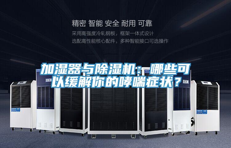 加濕器與除濕機：哪些可以緩解你的哮喘癥狀？