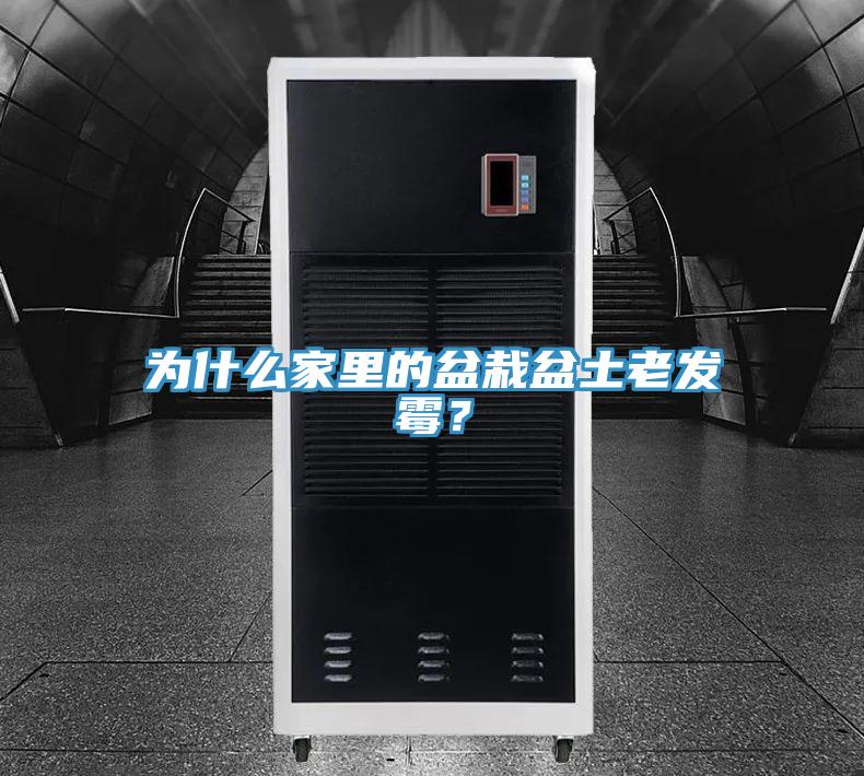 為什么家里的盆栽盆土老發(fā)霉？