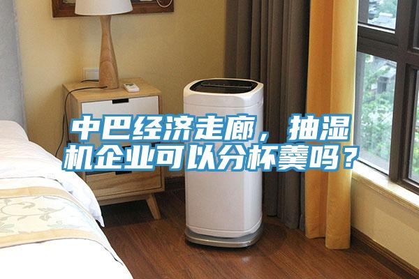 中巴經(jīng)濟走廊，抽濕機企業(yè)可以分杯羹嗎？