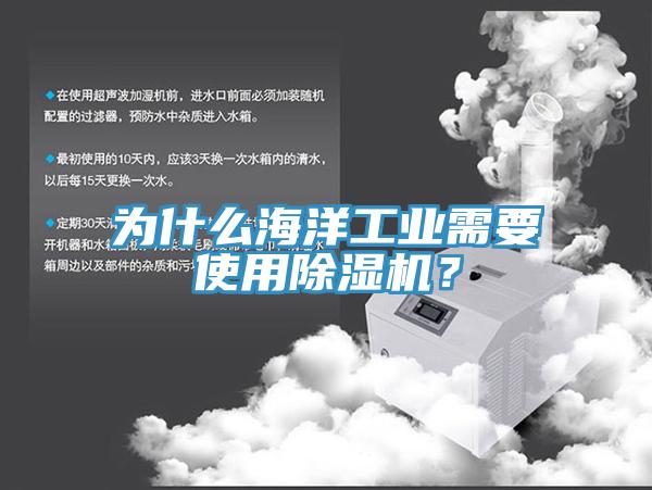 為什么海洋工業(yè)需要使用除濕機？