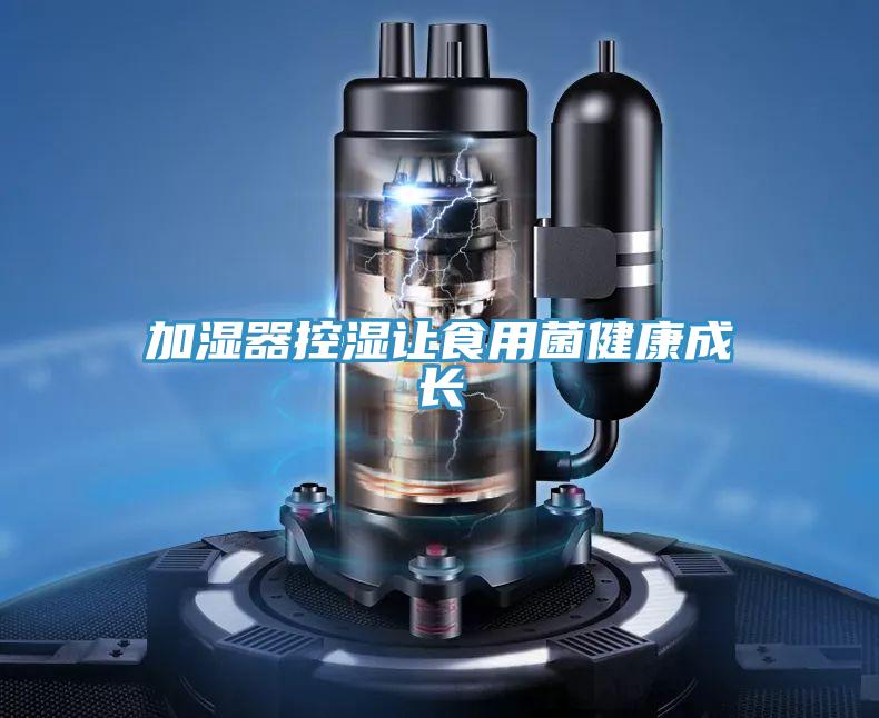 加濕器控濕讓食用菌健康成長(cháng)