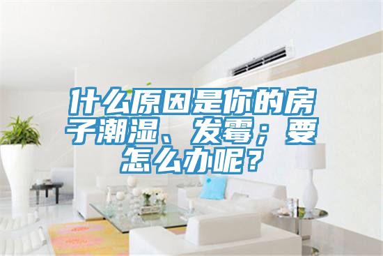 什么原因是你的房子潮濕、發(fā)霉；要怎么辦呢？