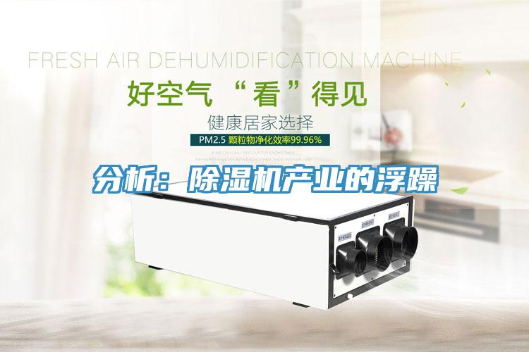 分析：除濕機產(chǎn)業(yè)的浮躁