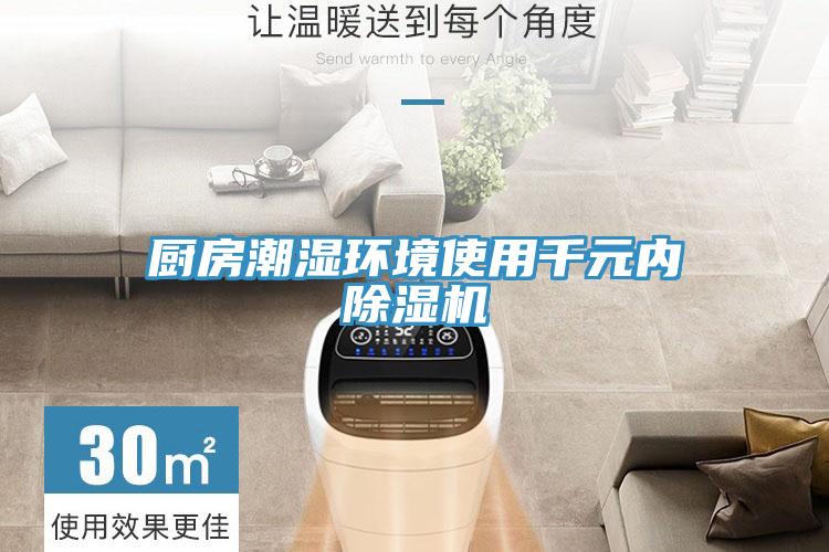 廚房潮濕環(huán)境使用千元內除濕機