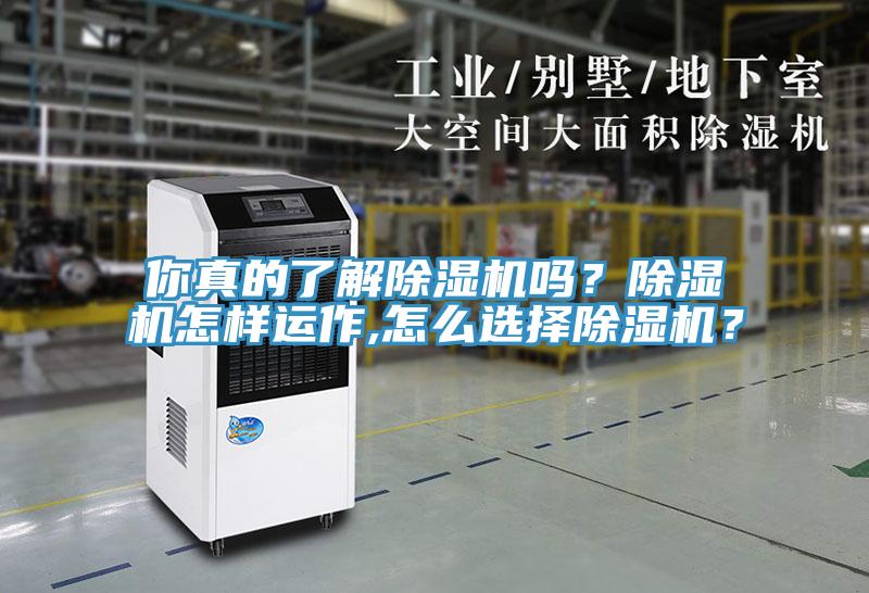 你真的了解除濕機嗎？除濕機怎樣運作,怎么選擇除濕機？
